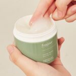 واتر کرم آبرسان مرطوب کننده و تسکین دهنده ارتیمسیا فریجور مدل Fraijour original herb wormwood calming