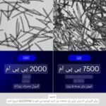 اگزوزوم شات برند مدیکیوب دوز 7500 مدل اگزوزوم‌ها (Exosomes)