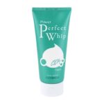 فوم شست‌وشوی سیکا پلاس فوداهولیک ۱۲۰ میل | Foodaholic Power Perfect Whip Foam Cica Plus